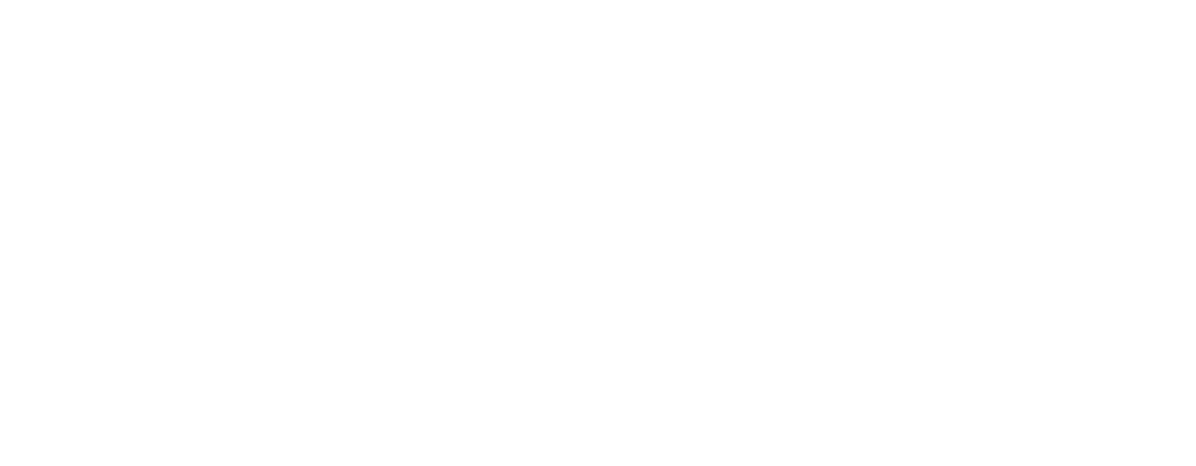 Nancy Perez Signature